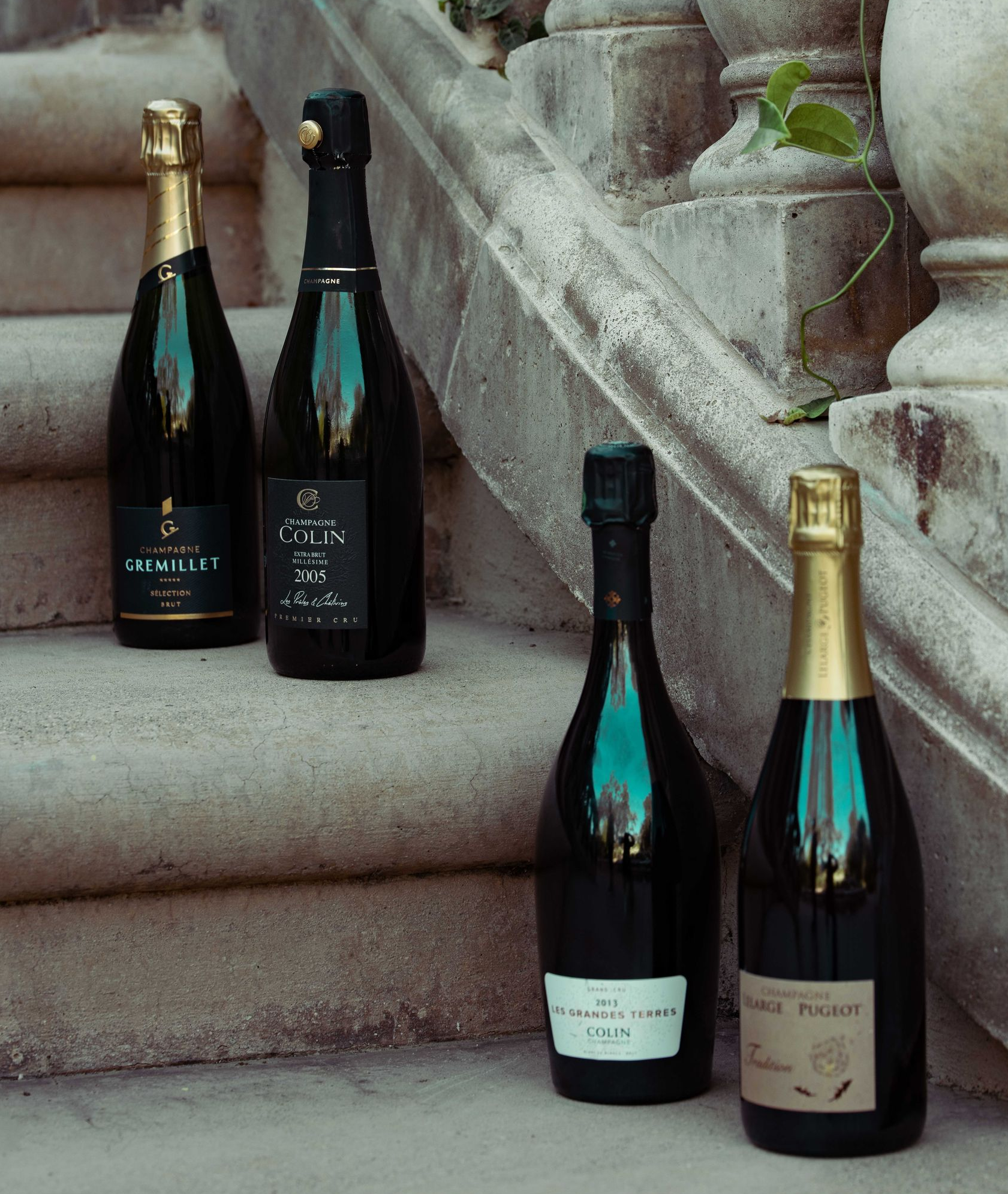 Fizz Walnut Creek's Champagne Club