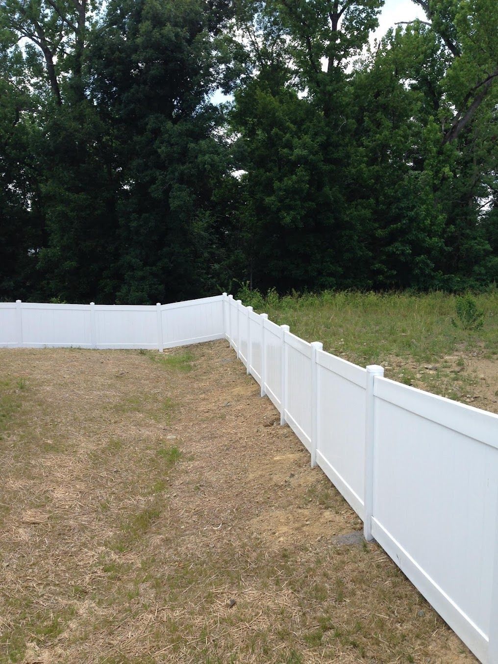 White vinyl fence around a dry backyard with trees in the background