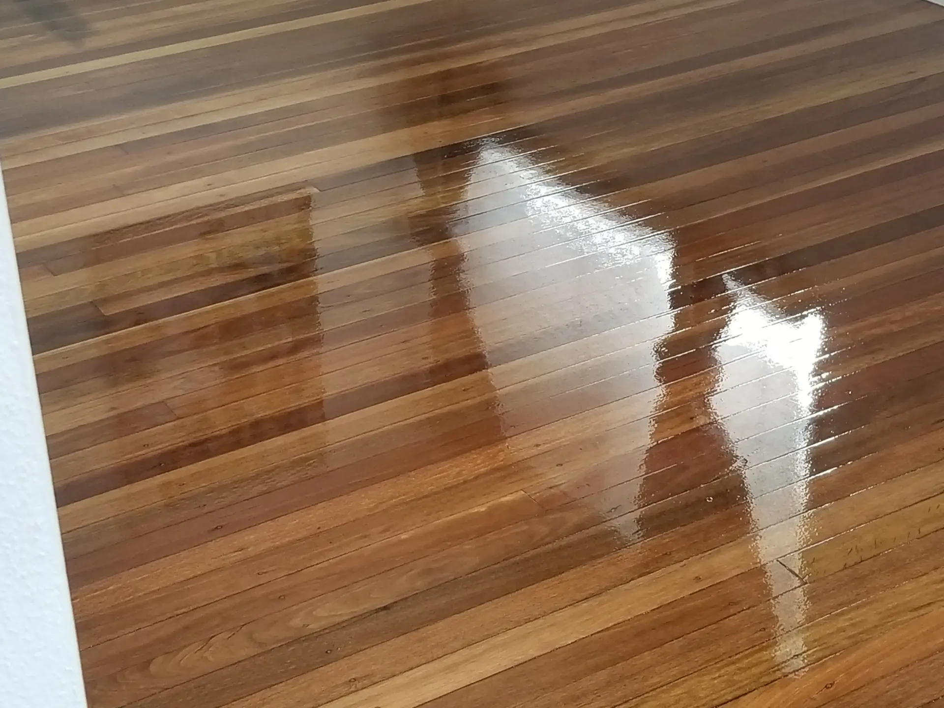 Shiny, varnished hardwood floor with light reflections. — The Good Wood Polished Timber Floors in Pittsworth, QLD