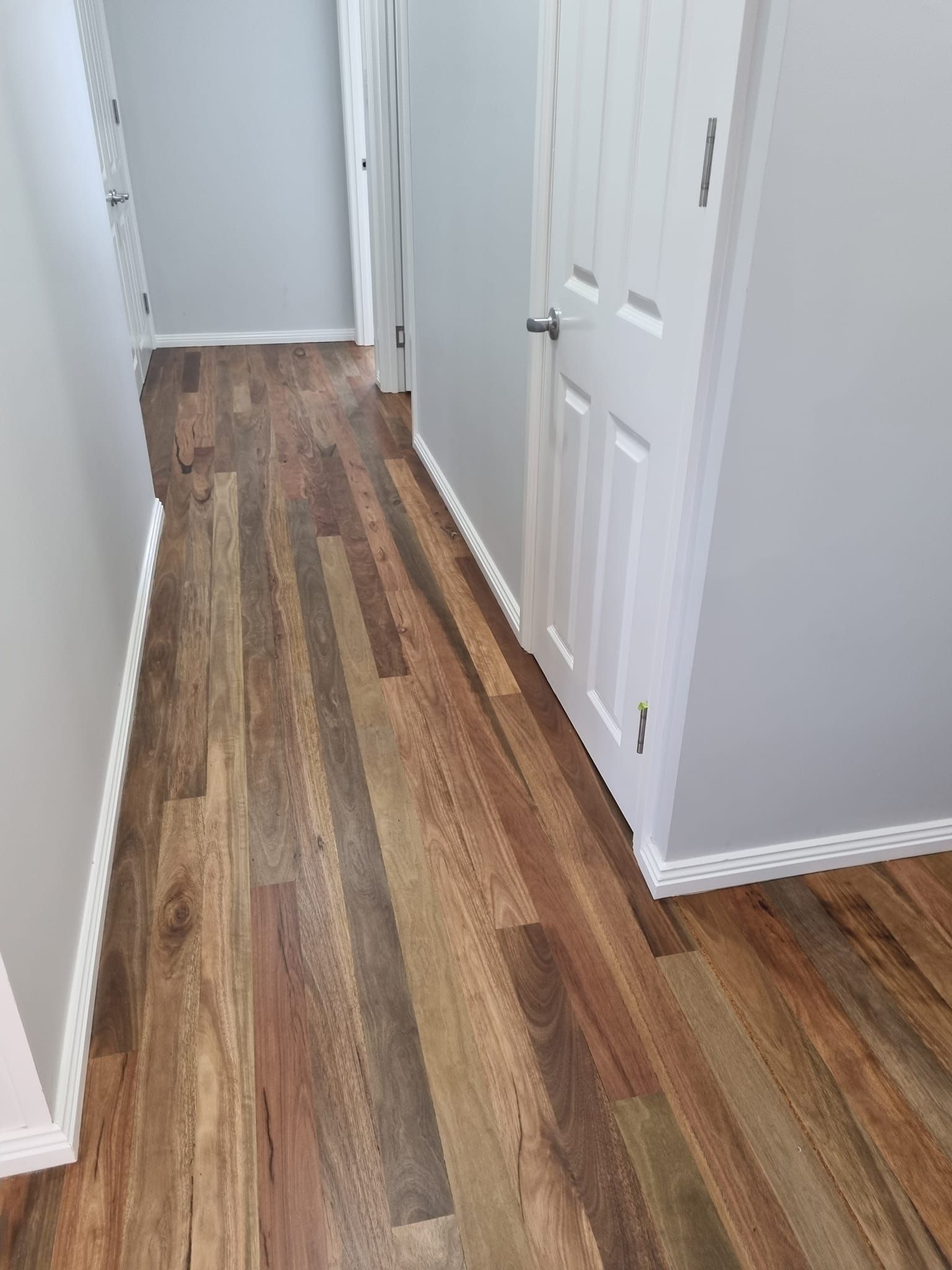 Hallway with wooden floor, white doors, and gray walls. — The Good Wood Polished Timber Floors in Gatton, QLD