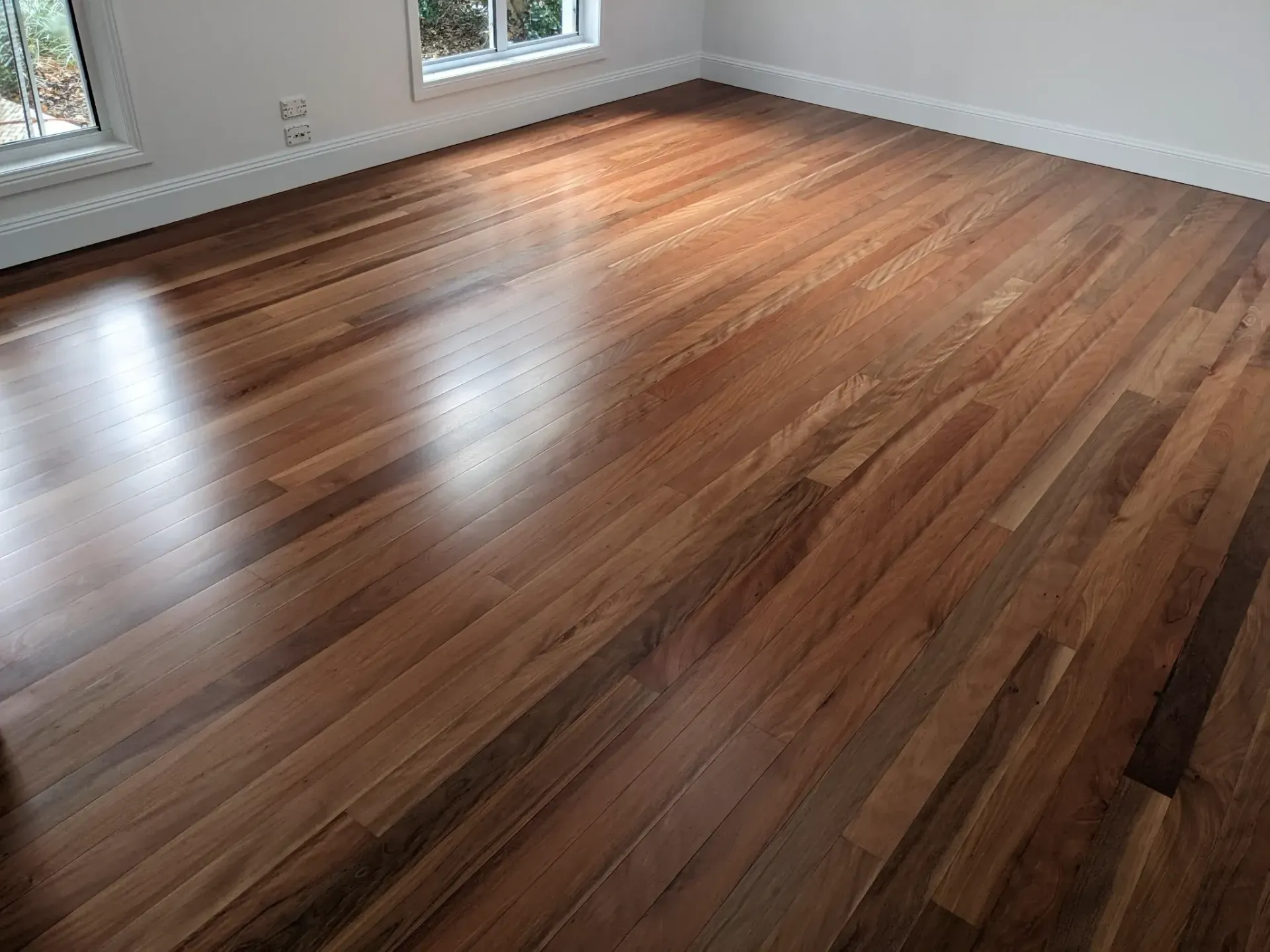 Shiny, medium-brown hardwood floor in a room with white trim and windows. — The Good Wood Polished Timber Floors in Highfields, QLD