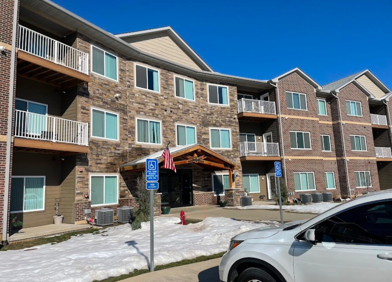 A bunch of ants are crawling on a wall.