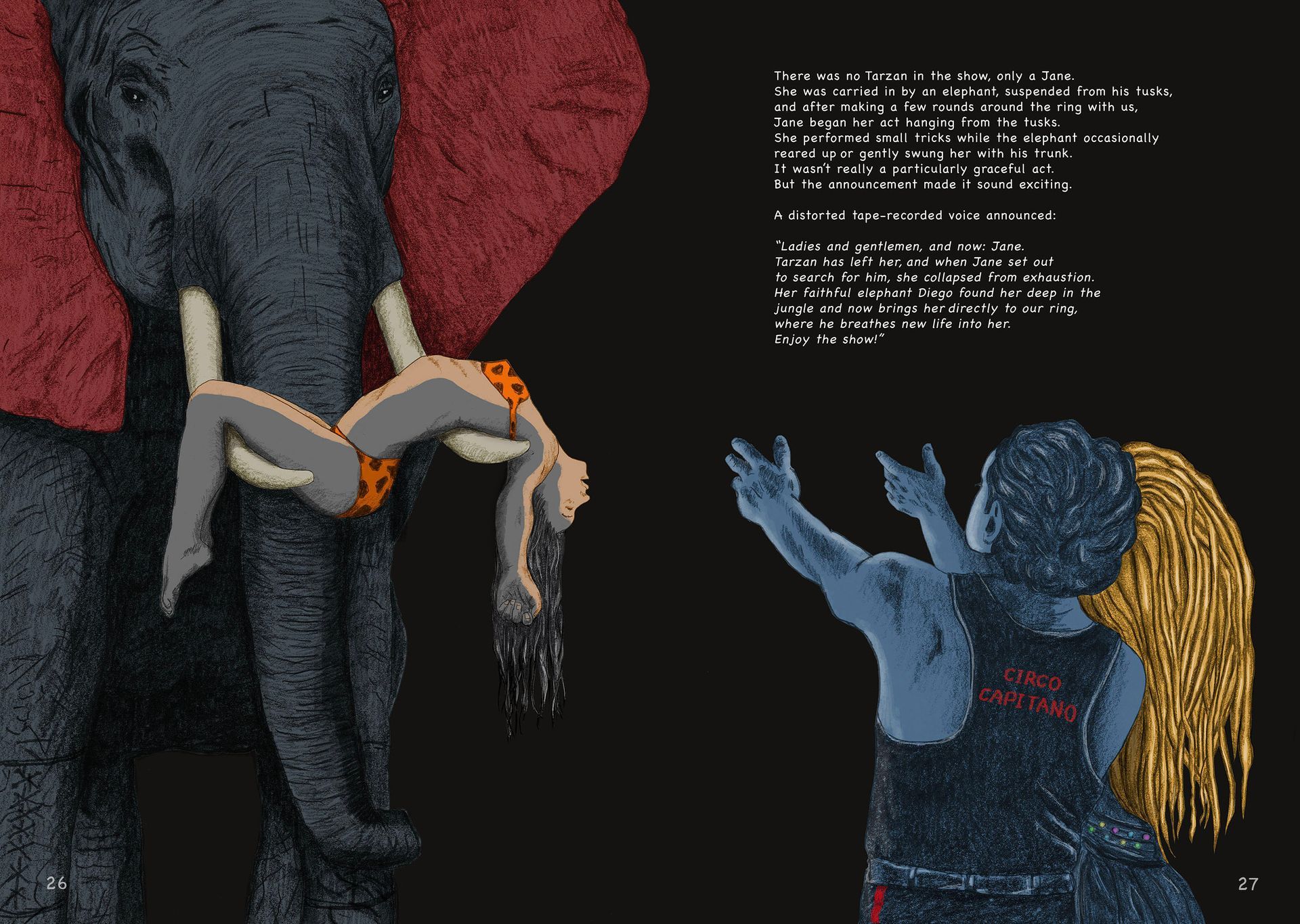 Sebastiano Toma, Normal Life, Graphic Novel
