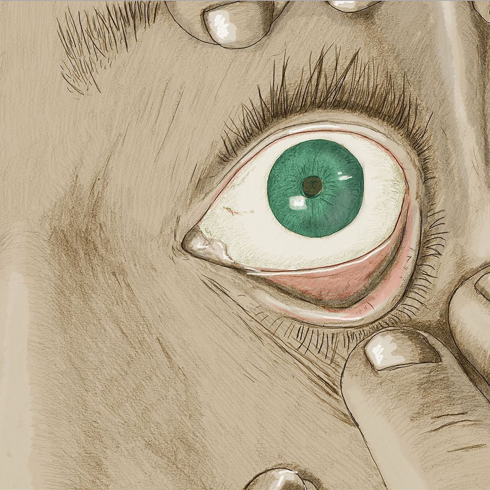 Sebastiano Toma, Graphic Novel