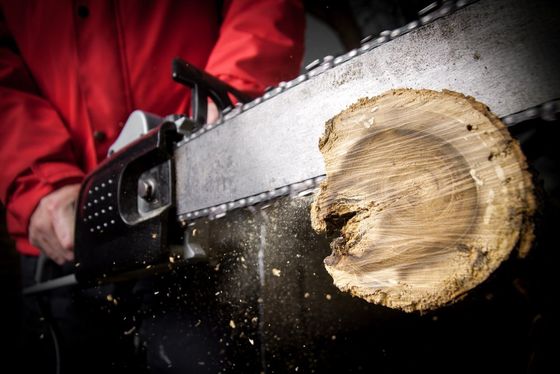 Chain saw cutting a log in rosemount mn