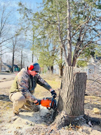 A person wearing camouflage and hearing protection uses an orange chainsaw to cut into a tall, textured tree stump.