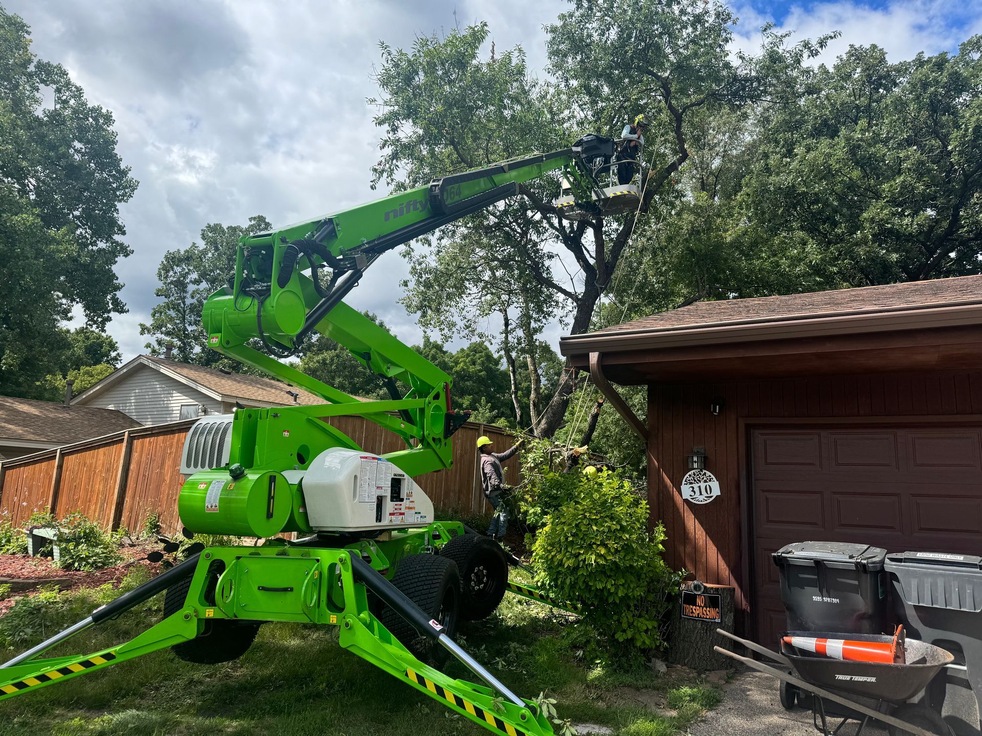tree removal cost