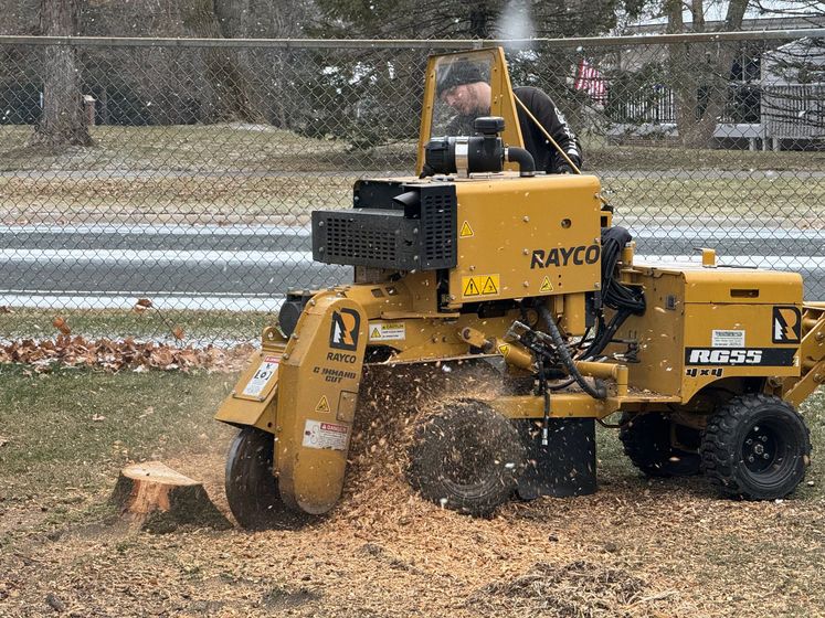 A yellow Rayco stump grinder grinds a tree stump on a grassy lawn with wood chips flying.