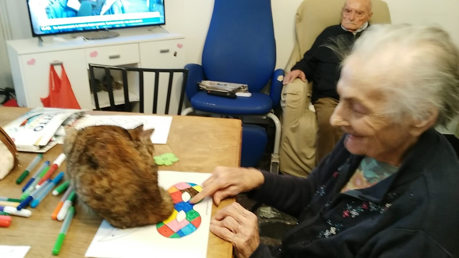 Attività di pet therapy