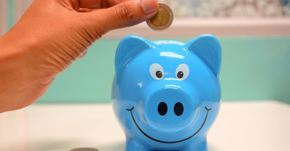 A picture of a piggy bank with someone putting a coin in the back
