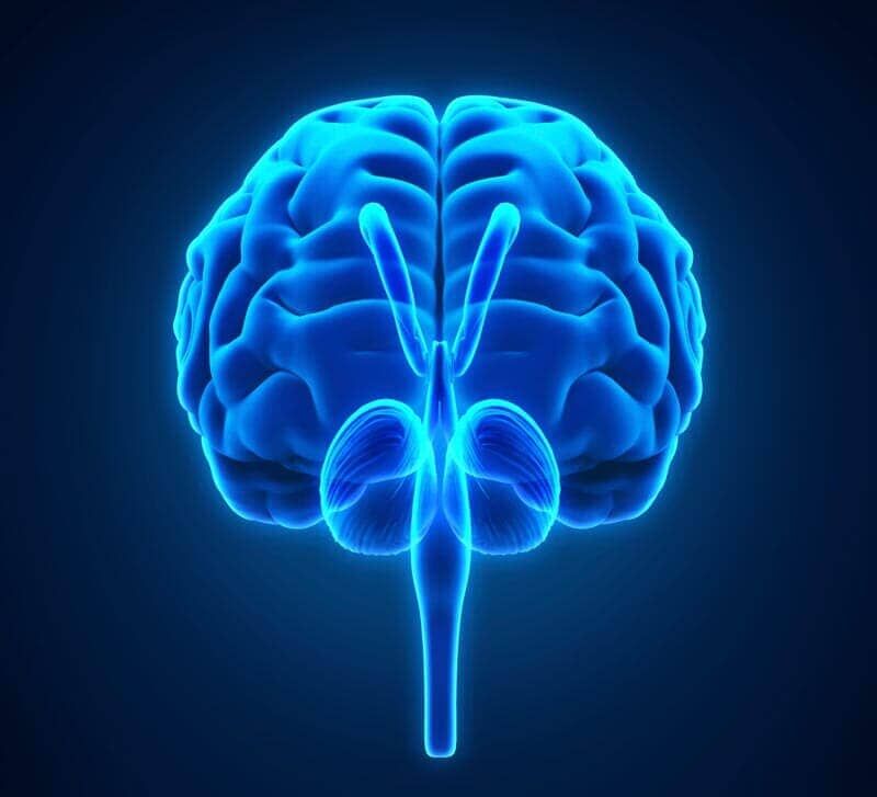 DR. JUAN CARLOS GARCÍA REGIL - Sistema nervioso