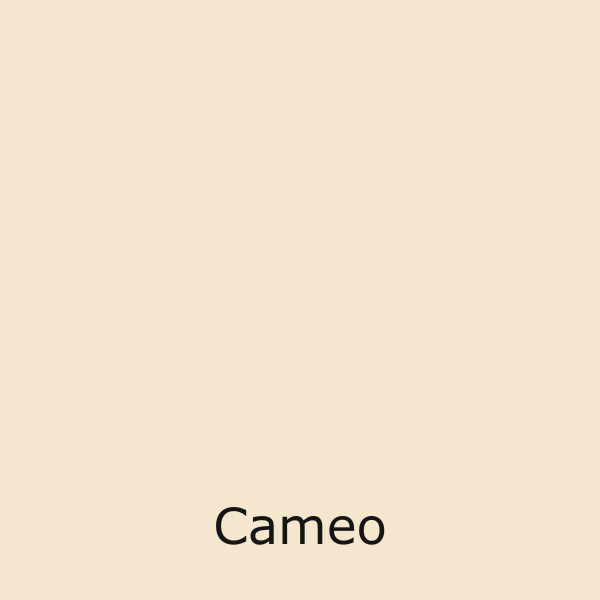 A solid, pale cream-colored square with the word