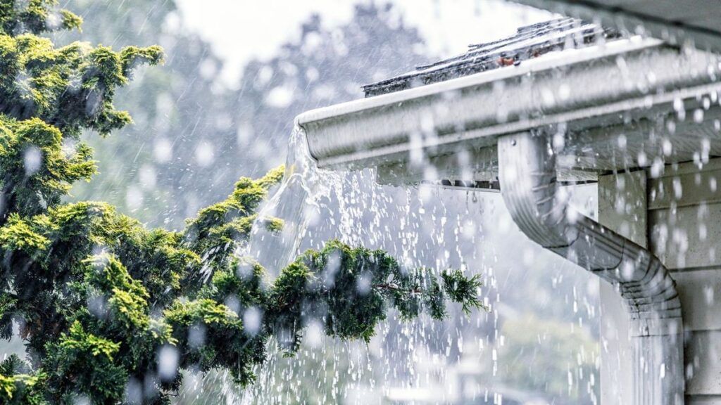 Heavy rain falling on a house roof with a metallic gutter overflowing onto a nearby tree.