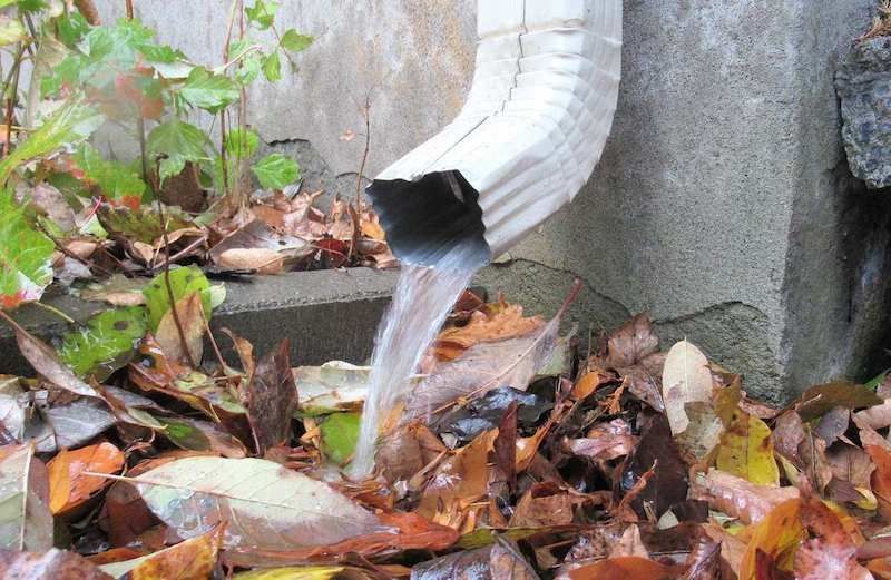 A white downspout flows water directly onto a pile of fallen autumn leaves near a concrete foundation.