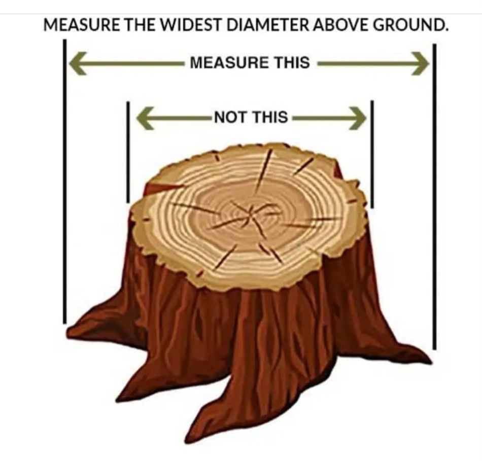 Diagram of a tree stump showing widest diameter above ground, with “measure this” and “not this” arrows.