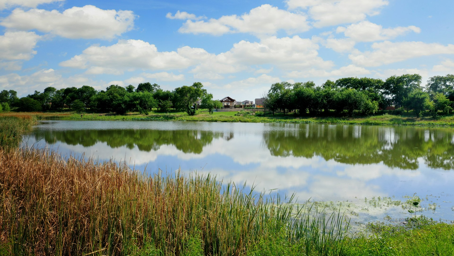 Pond & Overlook | Devonshire Living | Forney, TX 75126