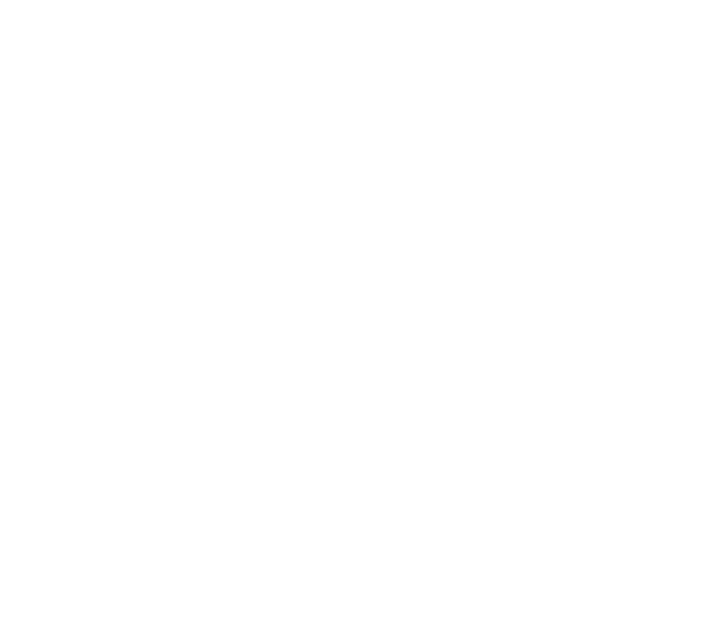 International Bike Shop logo