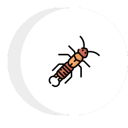 a termite icon .