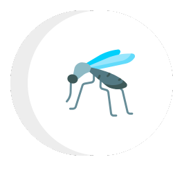 mosquito icon