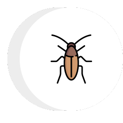 a cockroach icon in a circle 