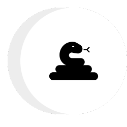 snake icon