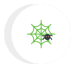 spider icon