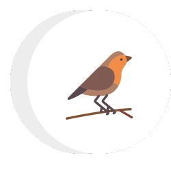 bird icon