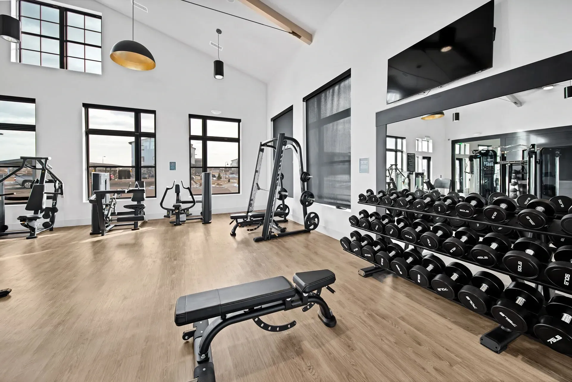 Well-equipped gym with dumbbells, weight machines, and benches.