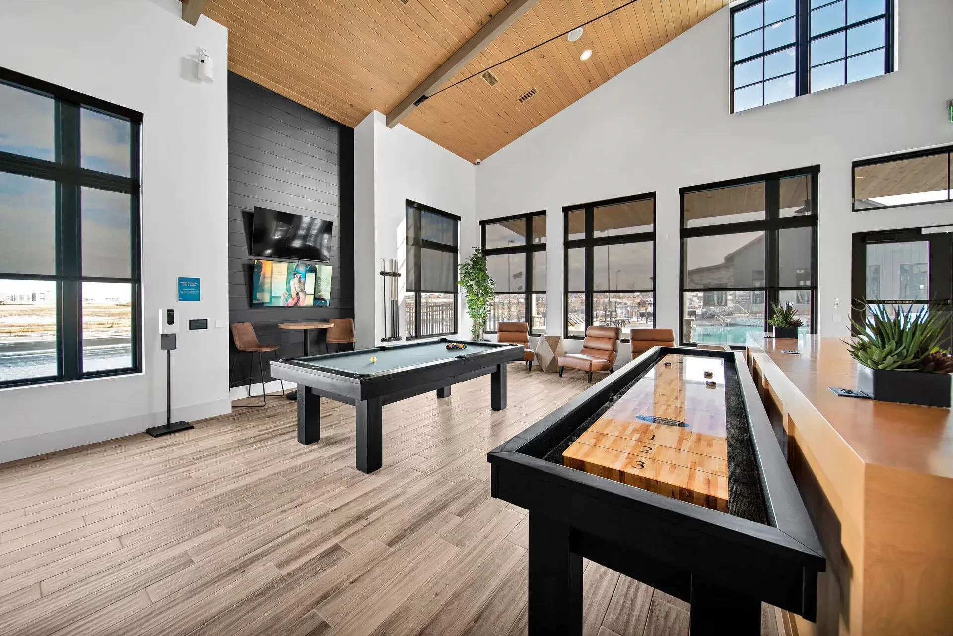 Game room with a pool table and shuffleboard table.
