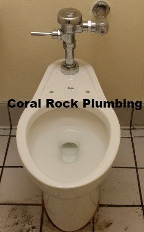 Coral Rock Plumbing Flushometer, pressure toilet, Toilet Noise Repair Toilet sound Fix Leaking Toilet Palm Bay Fl Sebastian Fl Melbourne Fl orlando f