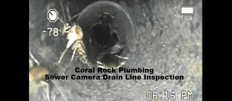 Camera Inspection to find roaches in the sewer line and find the break in the sewer drain line
