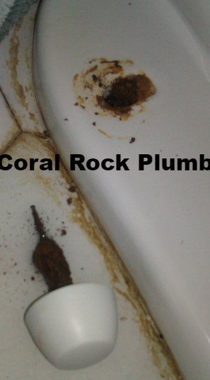 Toilet repair, Palm Bay Plumber, Melbourne Plumber, Cocoa Beach Plumber, Vero Beach Plumber, Sebastian Plumber, kissimmee plumber, orlando plumber