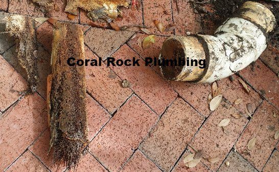 Roots in sewer drain pipe, Palm Bay Plumber, Melbourne Plumber, Cocoa Beach Plumber, Vero Beach Plumber, Sebastian Plumber, kissimmee plumber, orlando plumber