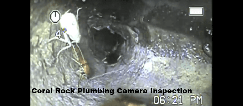 Roaches in my home, sewer drain camera inspection cast iron pipe