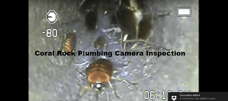 Sewer Drain Camera Inspection, found roaches inside  septic tanks and cast iron drain pipes.