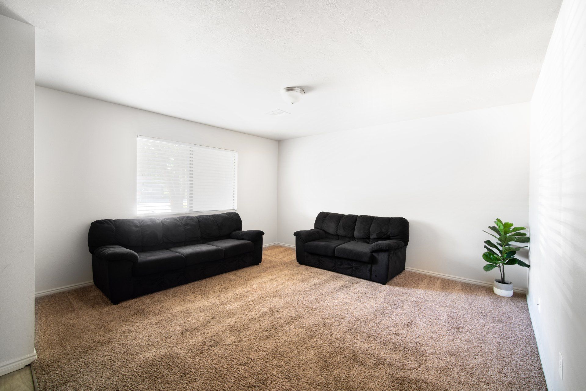 7th & University Apartments. Student housing near Utah Tech. Furnished Student housing. In-unit laundry and fully furnished bedrooms. Resort-style pool and lounge deck. Spacious common areas and study rooms