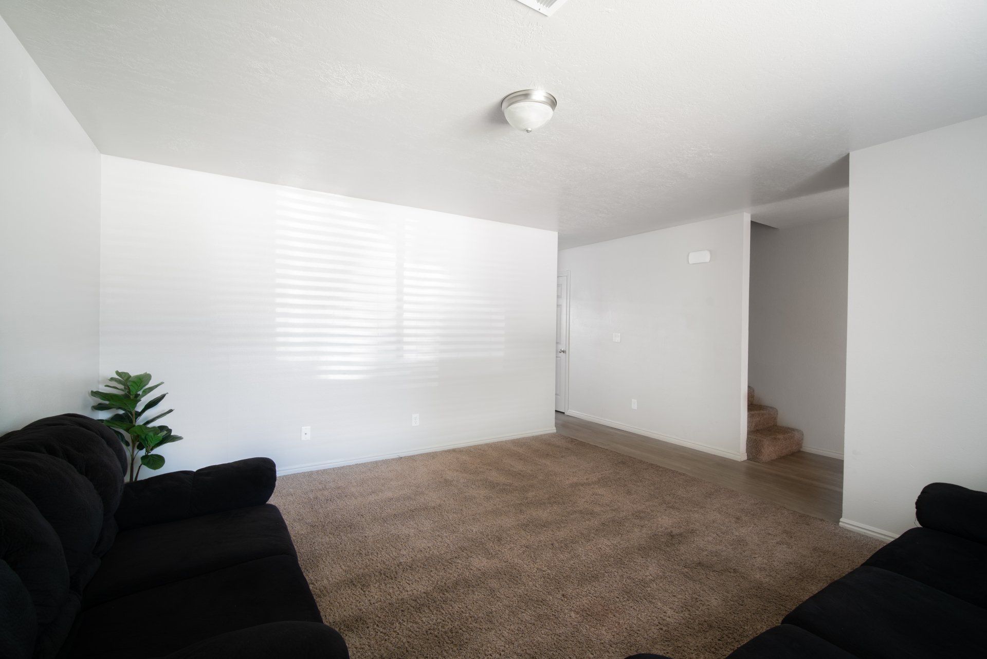 7th & University student housing in St. George offers Utah Tech off-campus housing with spacious private and shared furnished bedrooms. Features in-unit laundry, a pool, and a sundeck. Conveniently located just a short walk to Utah Tech's campus.