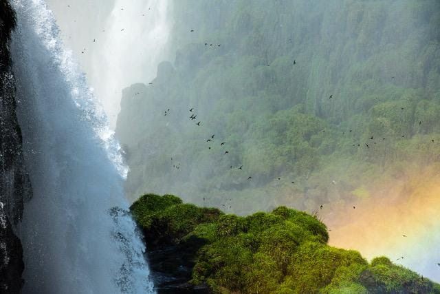 Cachoeira caindo de um penhasco, com folhagem verdejante e um arco-íris na base.