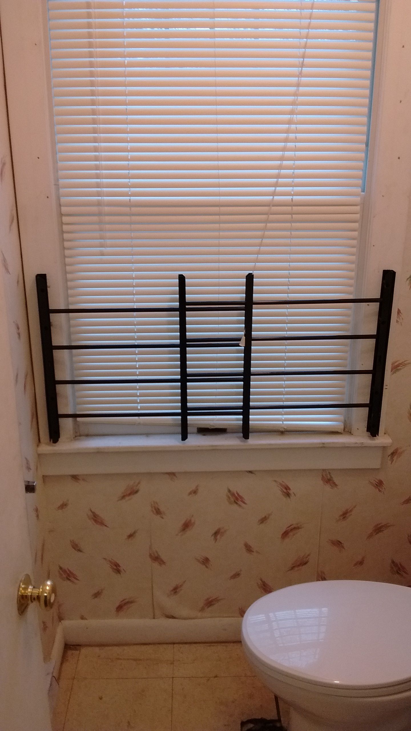 Metal cover for window