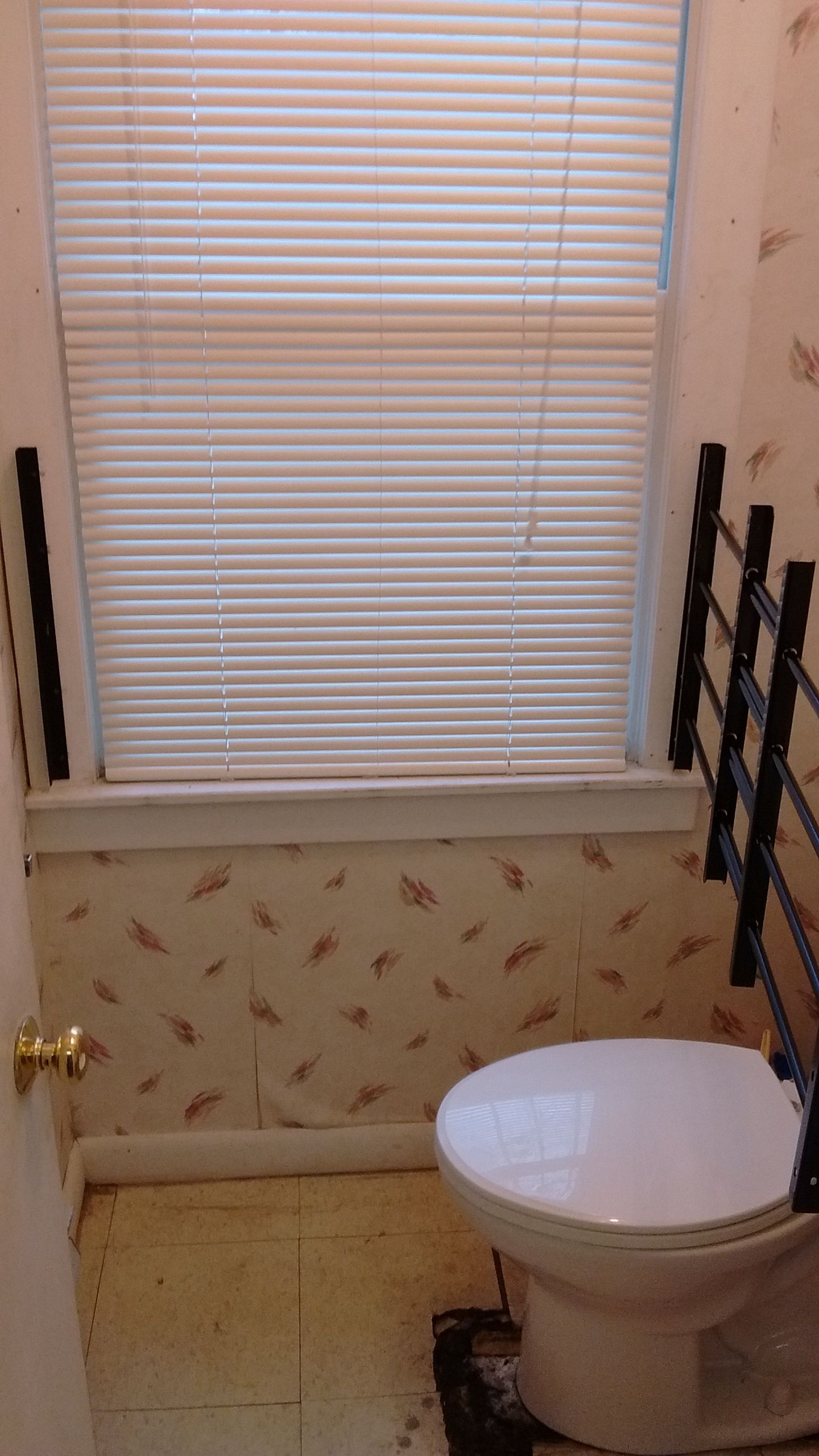 White blinds for window