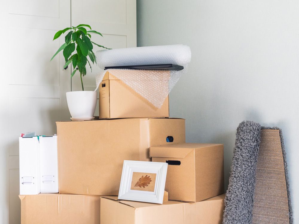A Pile Of Cardboard Boxes In A Room With A Plant And A Picture Frame  — Dawson Moving & Storage NQ in Townsville, QLD