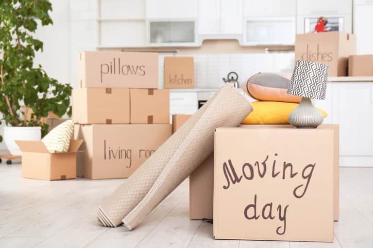 Moving Boxes And Household Stuff — Dawson Moving & Storage NQ in Mount St John, QLD