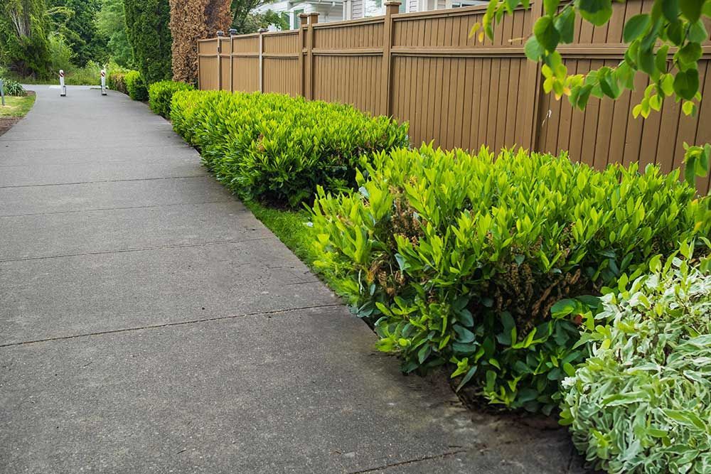 Types Of Fences To Install In Your Home