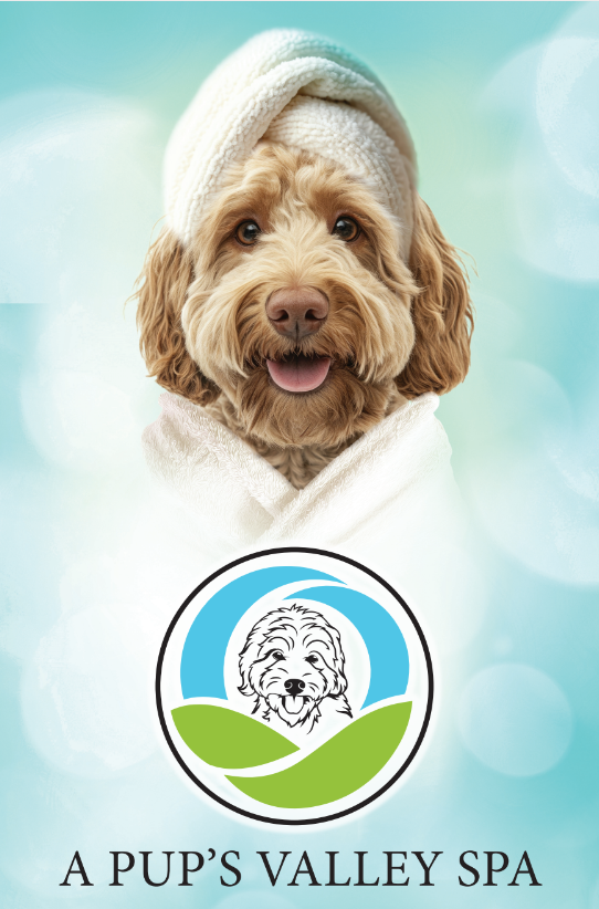a dog with a scarf image