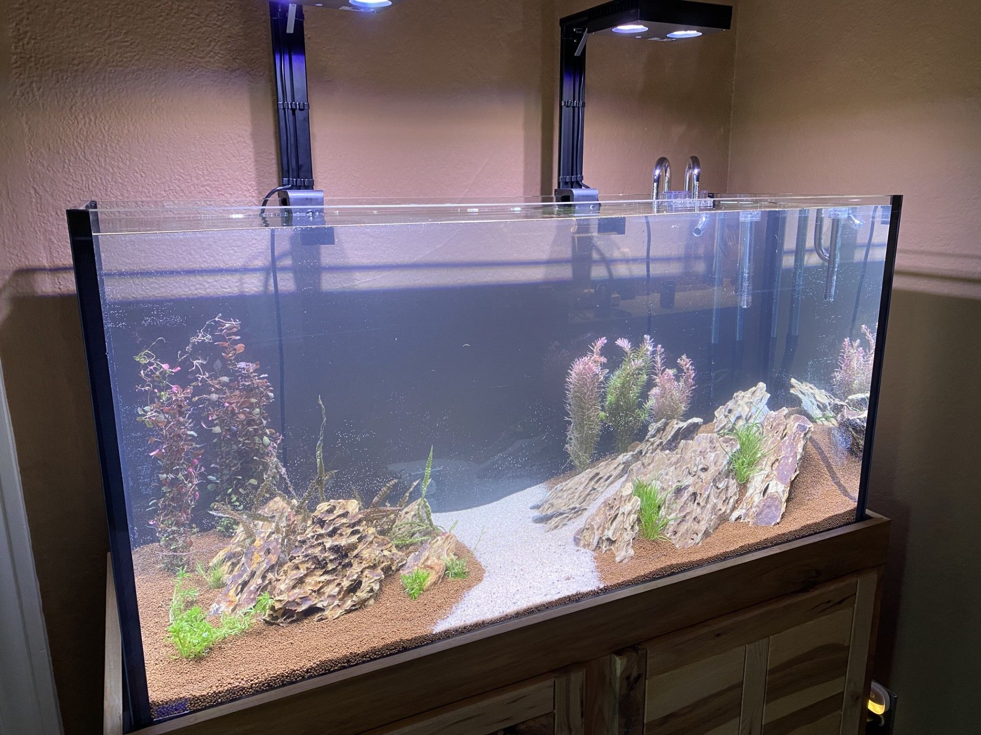 Large planted aquarium with rocks, gravel, and aquatic plants under bright lights