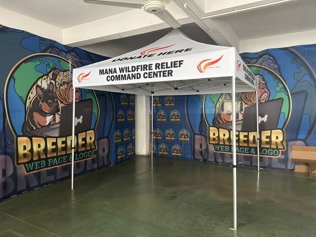 Mana wildfire relief command center tent in an indoor gym, with Breeder’s Cup wall graphics.