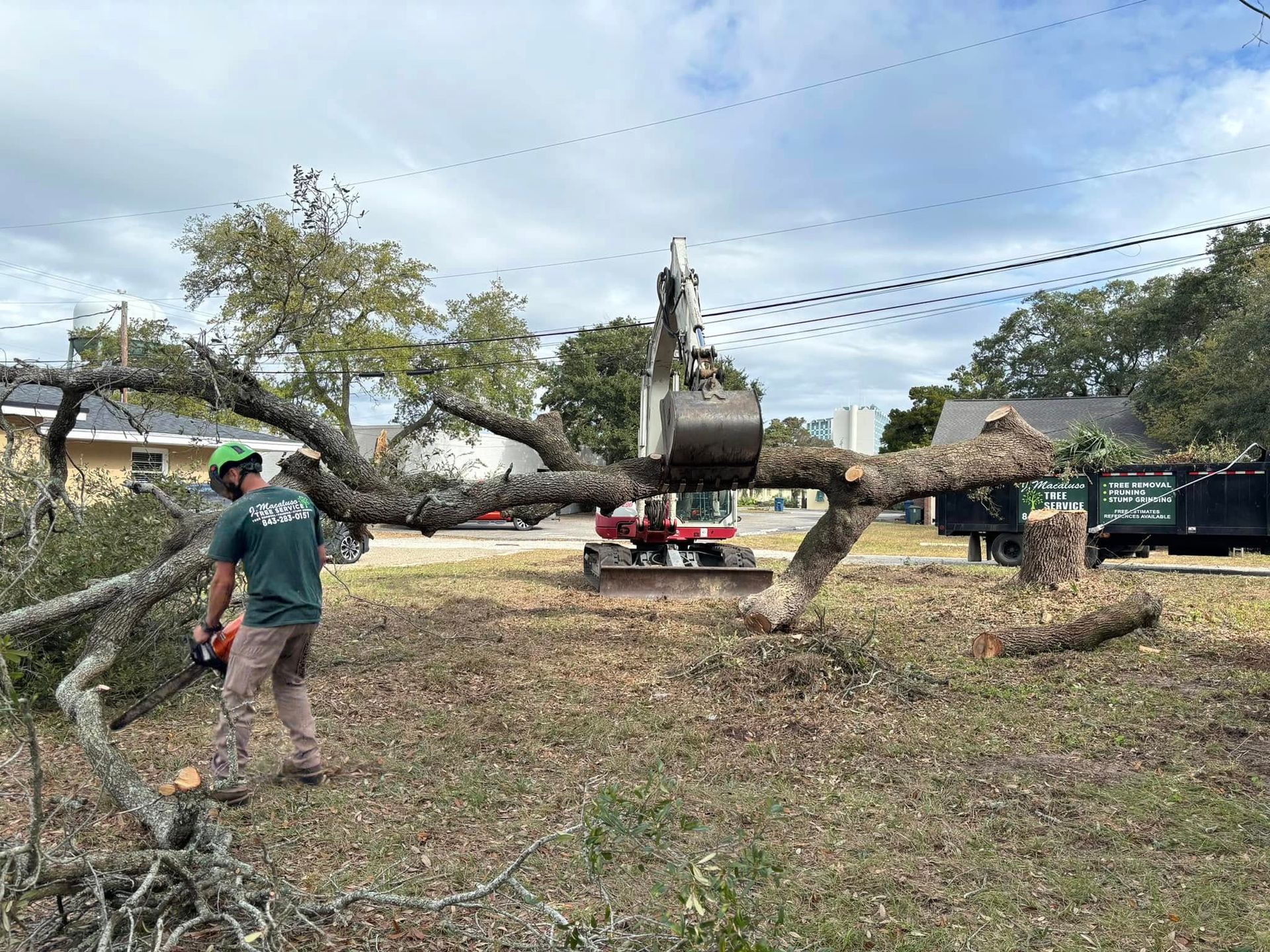 tree removal myrtle beach