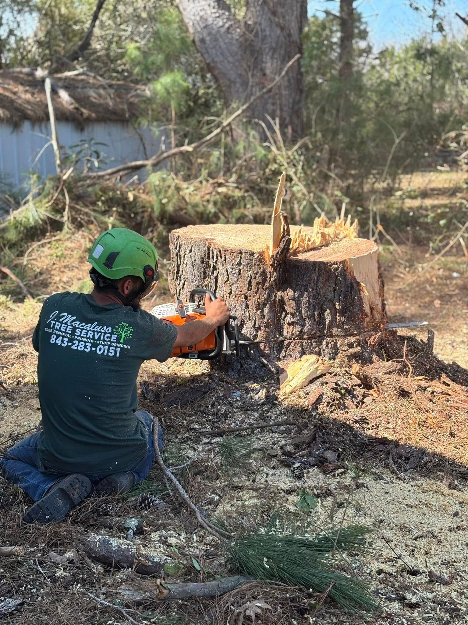 stump grinding myrtle beach