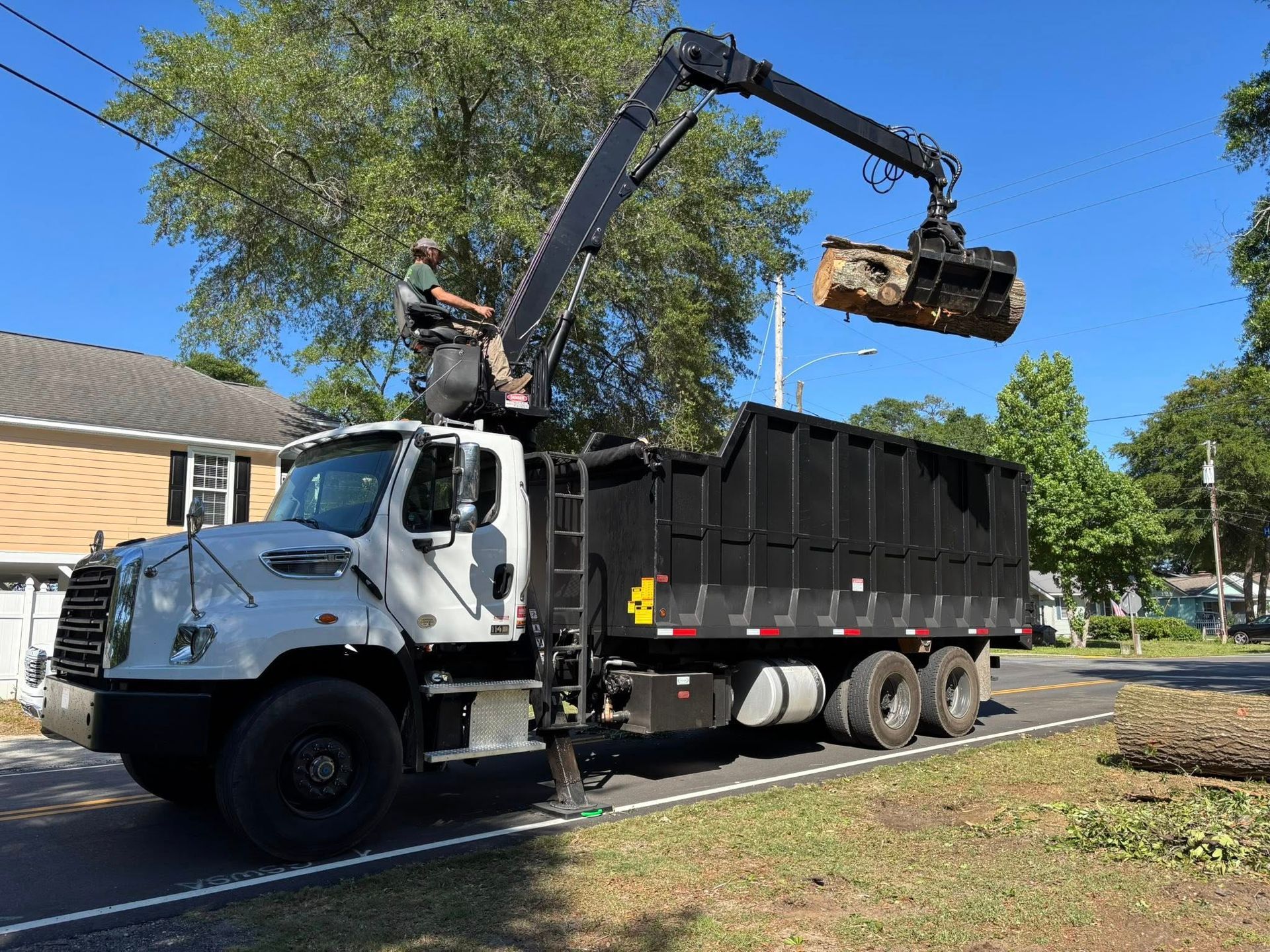 tree removal myrtle bach sc