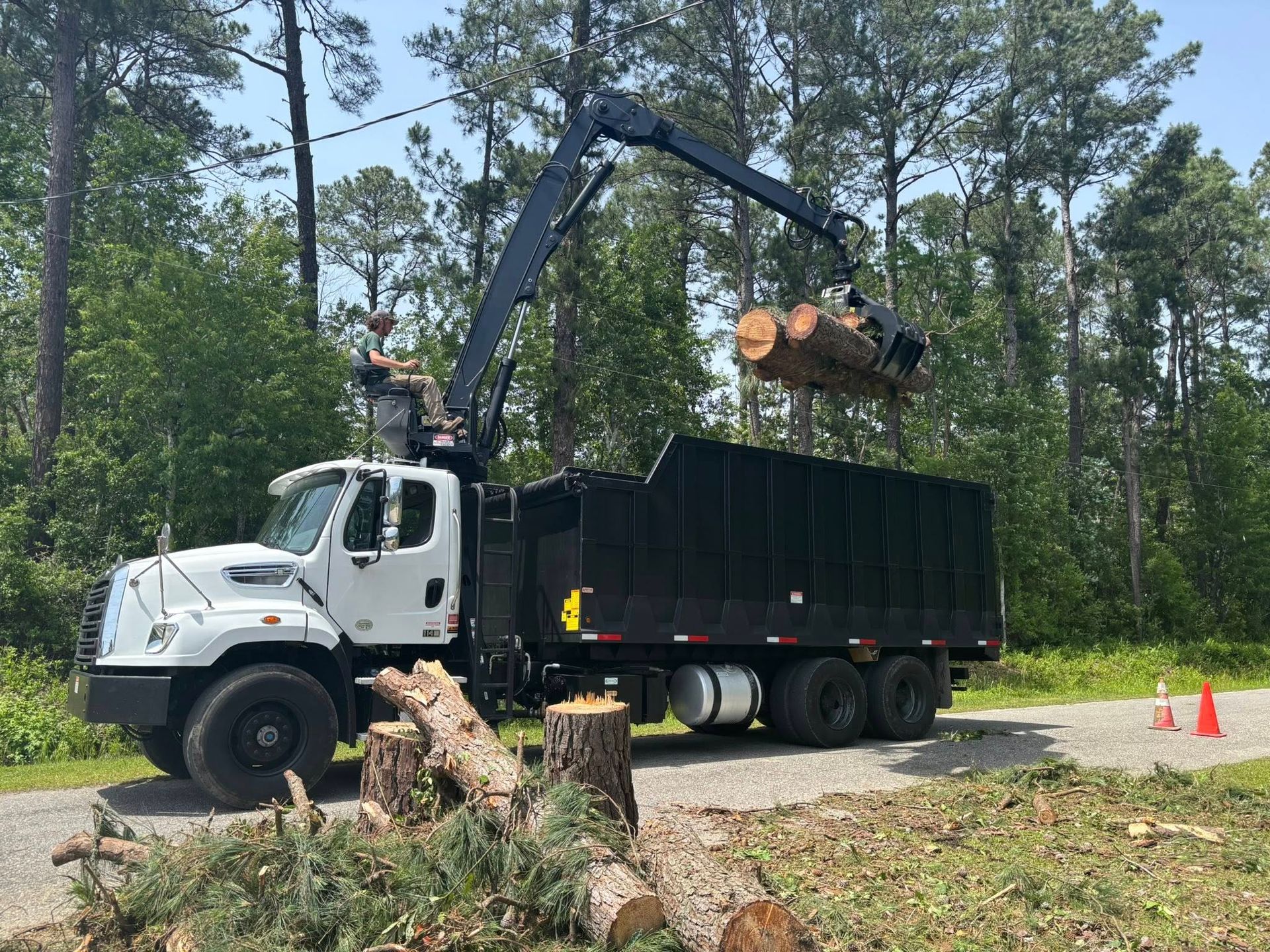 Why Fall Is the Ideal Time for Tree Trimming in Myrtle Beach SC